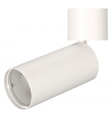 Светильник на штанге Arlight 022645(1) POLO