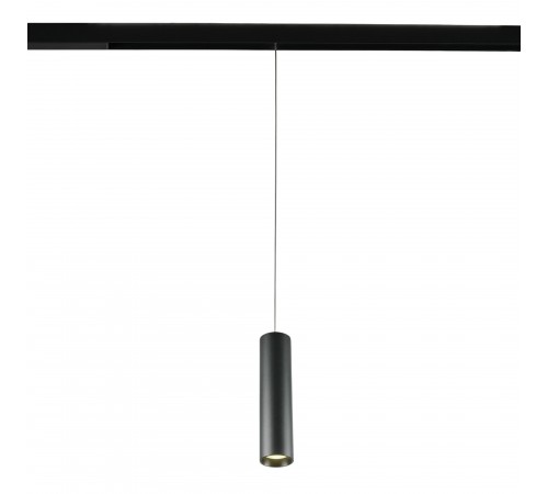 Подвесной светильник MyFar MT0221-20W3K-S-B Technical