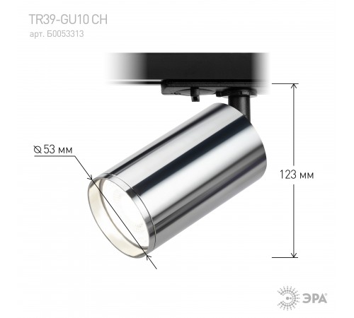 Светильник на штанге Эра TR39-GU10 СН