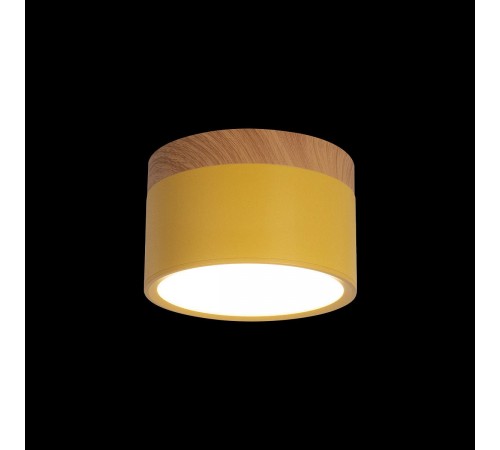Накладной светильник Loft it 10162 Yellow Grape