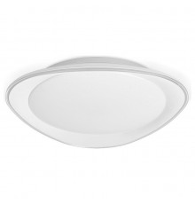 Накладной светильник Ambrella Light FF44 FF