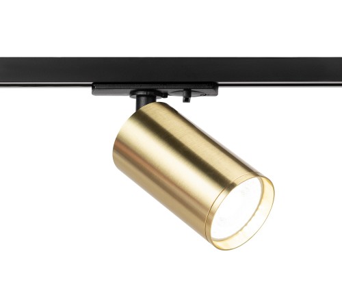 Светильник на штанге Эра TR39-GU10 BS