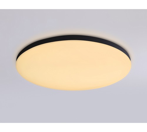 Накладной светильник Ambrella Light FZ2004 FZ