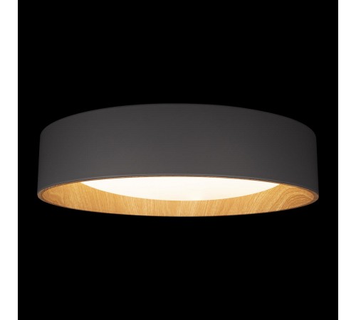 Накладной светильник Loft it 10202 Grey Coin