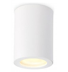 Накладной светильник Ambrella Light TN22797 TN