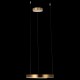 Подвесной светильник Loft it 10013S Ring