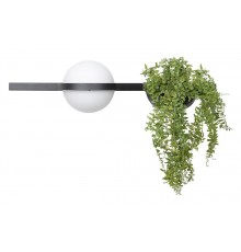 Бра Loft it 10121W/A Jardin