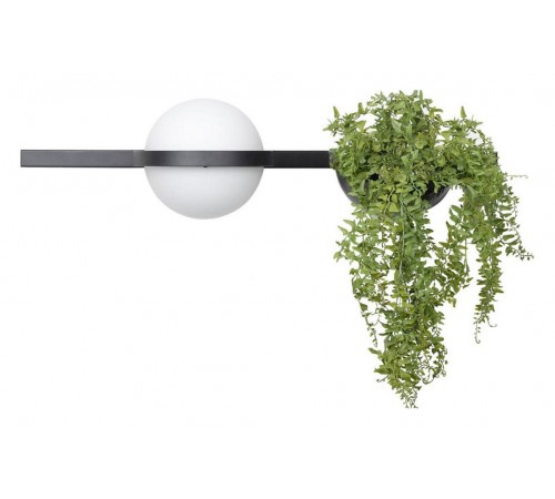 Бра Loft it 10121W/A Jardin
