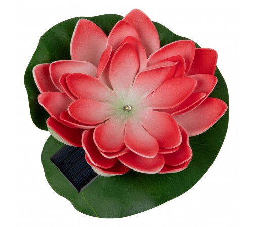 Растение Uniel UL-00011599 WATERLILY