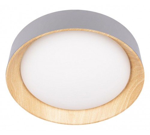 Накладной светильник Loft it 10202 Grey Coin