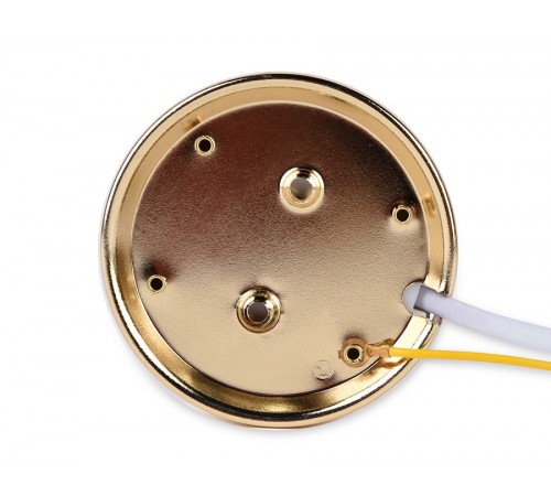 Накладной светильник Ambrella Light G102 GD G