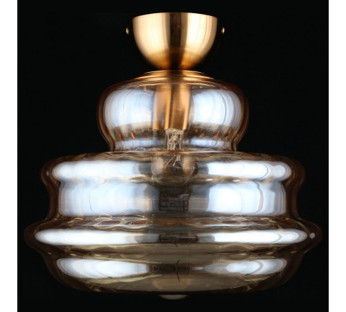 Накладной светильник Aployt APL.303.17.01 Liana