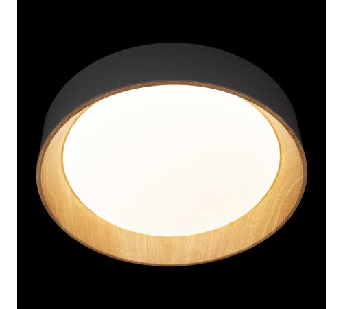 Накладной светильник Loft it 10202 Grey Coin