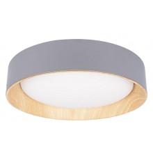 Накладной светильник Loft it 10202 Grey Coin