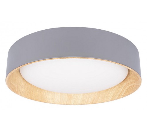 Накладной светильник Loft it 10202 Grey Coin