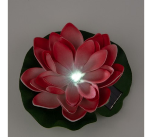 Растение Uniel UL-00011599 WATERLILY