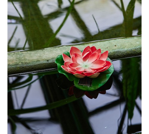 Растение Uniel UL-00011599 WATERLILY