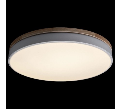 Накладной светильник Loft it 10001/36 White Axel