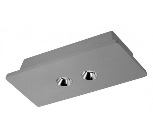 Накладной светильник Loft it OL1072-GH/2 Architect