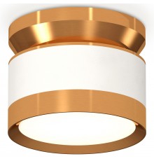 Накладной светильник Ambrella Light XS8101060 XS