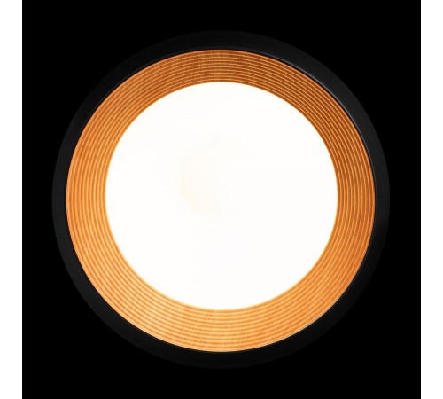 Накладной светильник Loft it 10255/500 Black Folk