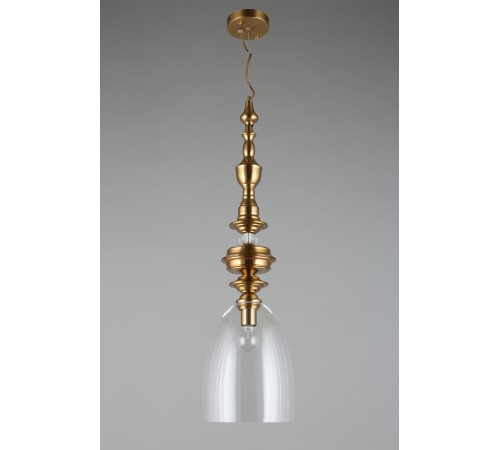 Подвесной светильник Aployt APL.602.16.01 Rena