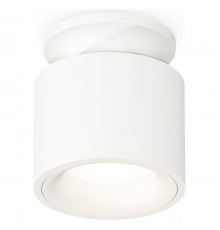 Накладной светильник Ambrella Light XS7510041 XS