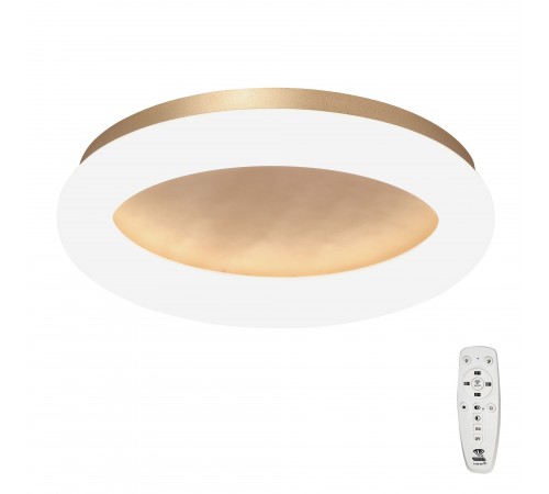 Накладной светильник Vitaluce V2538DT-8/1PL V2538DT