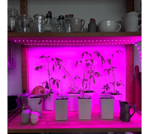 Комплект с лентой светодиодной для растений Uniel UL-00006216 ULS-P77