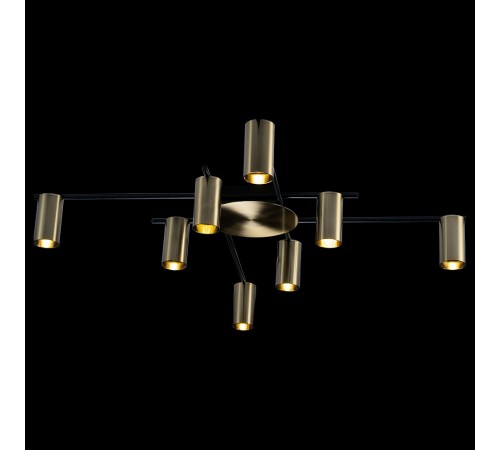 Потолочная люстра Loft it 8120C-8 Tribes