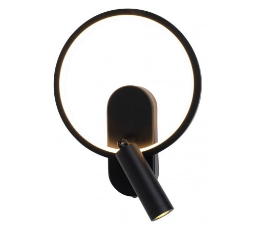 Бра с подсветкой Aployt APL.346.01.02 Monik