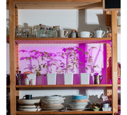 Комплект с лентой светодиодной для растений Uniel UL-00006216 ULS-P77