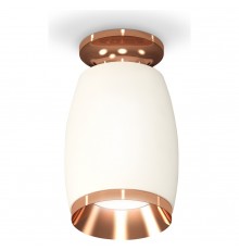 Накладной светильник Ambrella Light XS1122045 XS