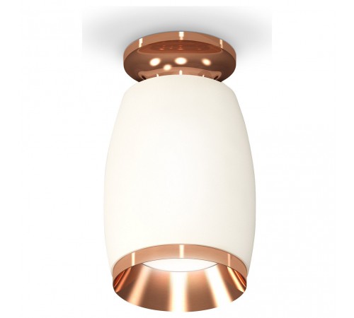 Накладной светильник Ambrella Light XS1122045 XS