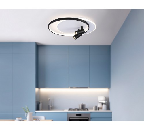 Накладной светильник Ambrella Light FL51392 FL