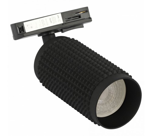 Светильник на штанге Эра TR40-GU10 BK