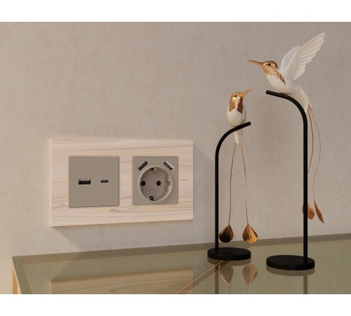 Накладка для розетки type A и C Ambrella Volt AP3710 Quant