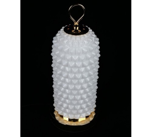 Настольная лампа декоративная Aployt APL.332.04.10 Ozeynn