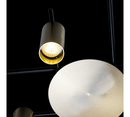 Потолочная люстра Loft it 8120C-8 Tribes