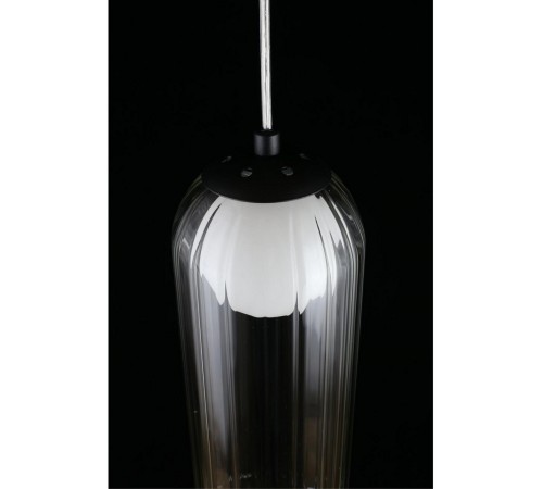 Подвесной светильник Aployt APL.325.16.01 Arian