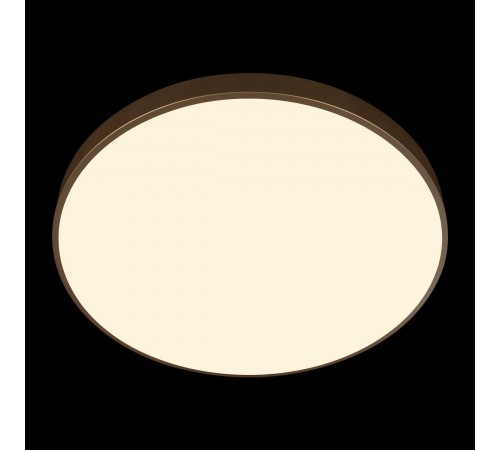 Накладной светильник Loft it 10228/B Flims