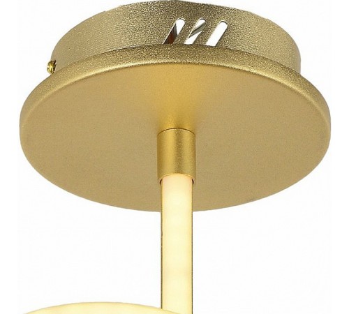 Светильник на штанге Arti Lampadari Angelo L 1.2.35.03 G Angelo