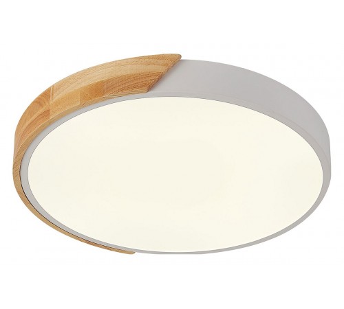 Накладной светильник Natali Kovaltseva LED LAMPS 81181 Scandinavian