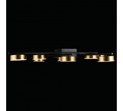 Потолочная люстра Aployt APL.042.07.56 Delayn