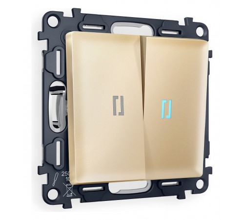 Выключатель проходной двухклавишный с подсветкой Ambrella Volt MA604040 Quant