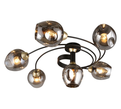 Потолочная люстра Aployt APL.611.17.06 Flor