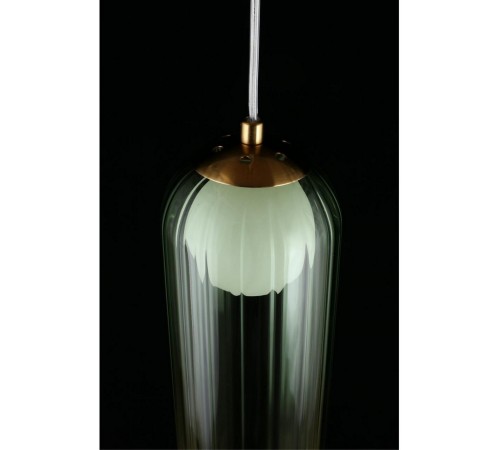 Подвесной светильник Aployt APL.325.36.01 Arian