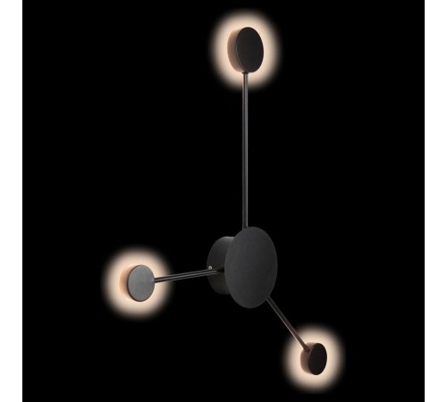 Накладной светильник Loft it 10059BK Rays