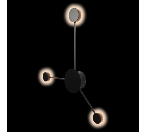 Накладной светильник Loft it 10059BK Rays