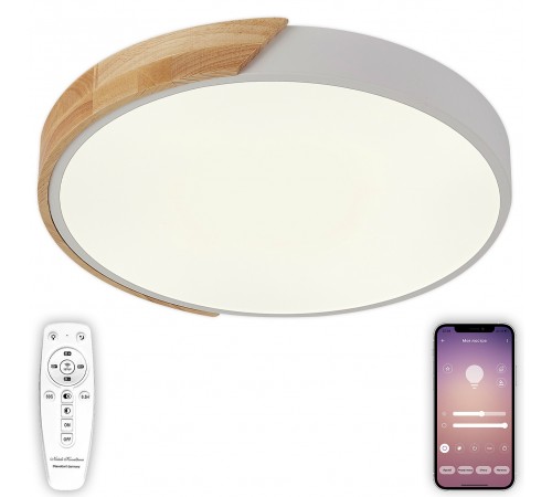 Накладной светильник Natali Kovaltseva LED LAMPS 81181 Scandinavian